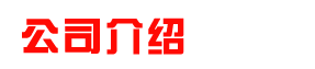 我們的團隊